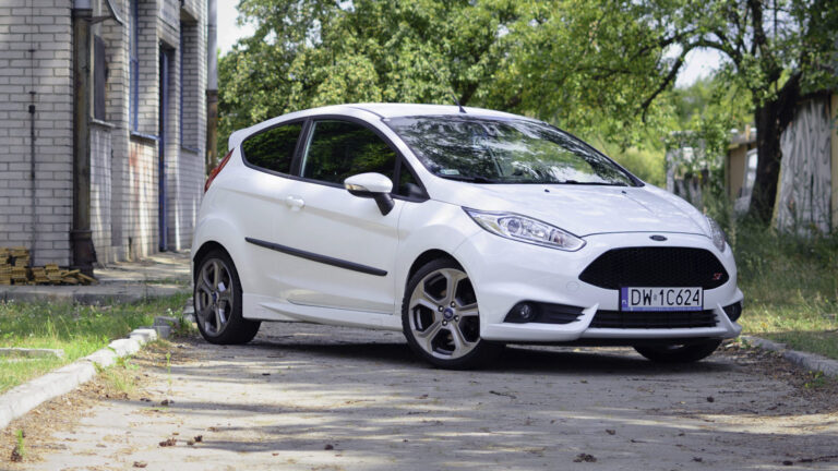 cropped fiesta scaled 1