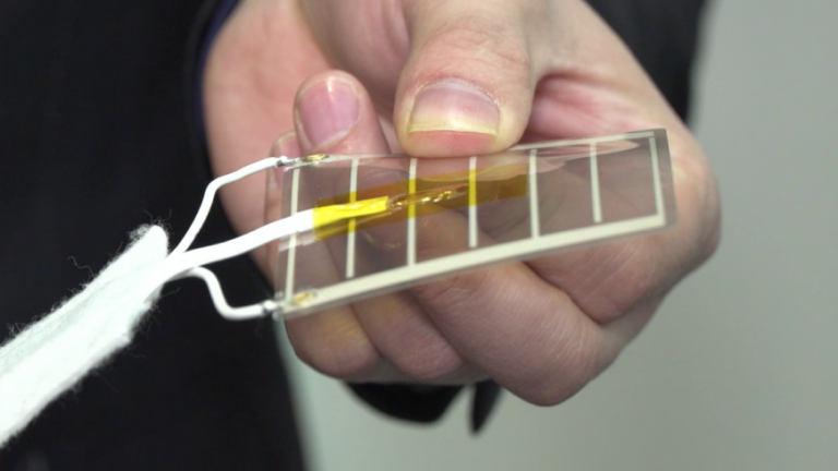 vlcsnap error736wo 870ho 489r png small