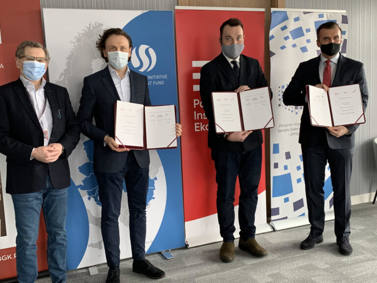 BGK, Cyfrowa Polska, PIE