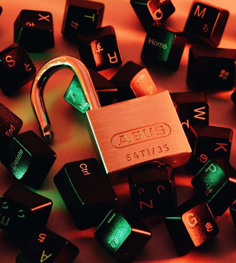 cyberbezpieczeństwo, luki