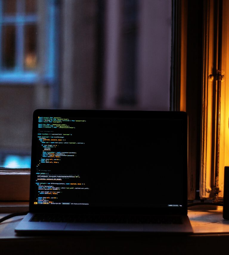 IP Box podatki programowanie