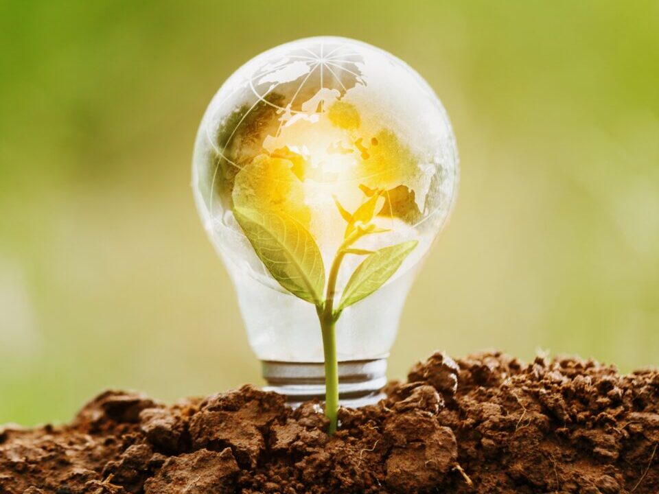 CSR-srodowisko-biznes