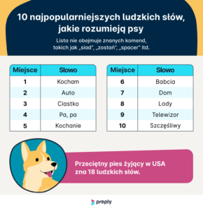 Slowa rozumiane przez psy Preply
