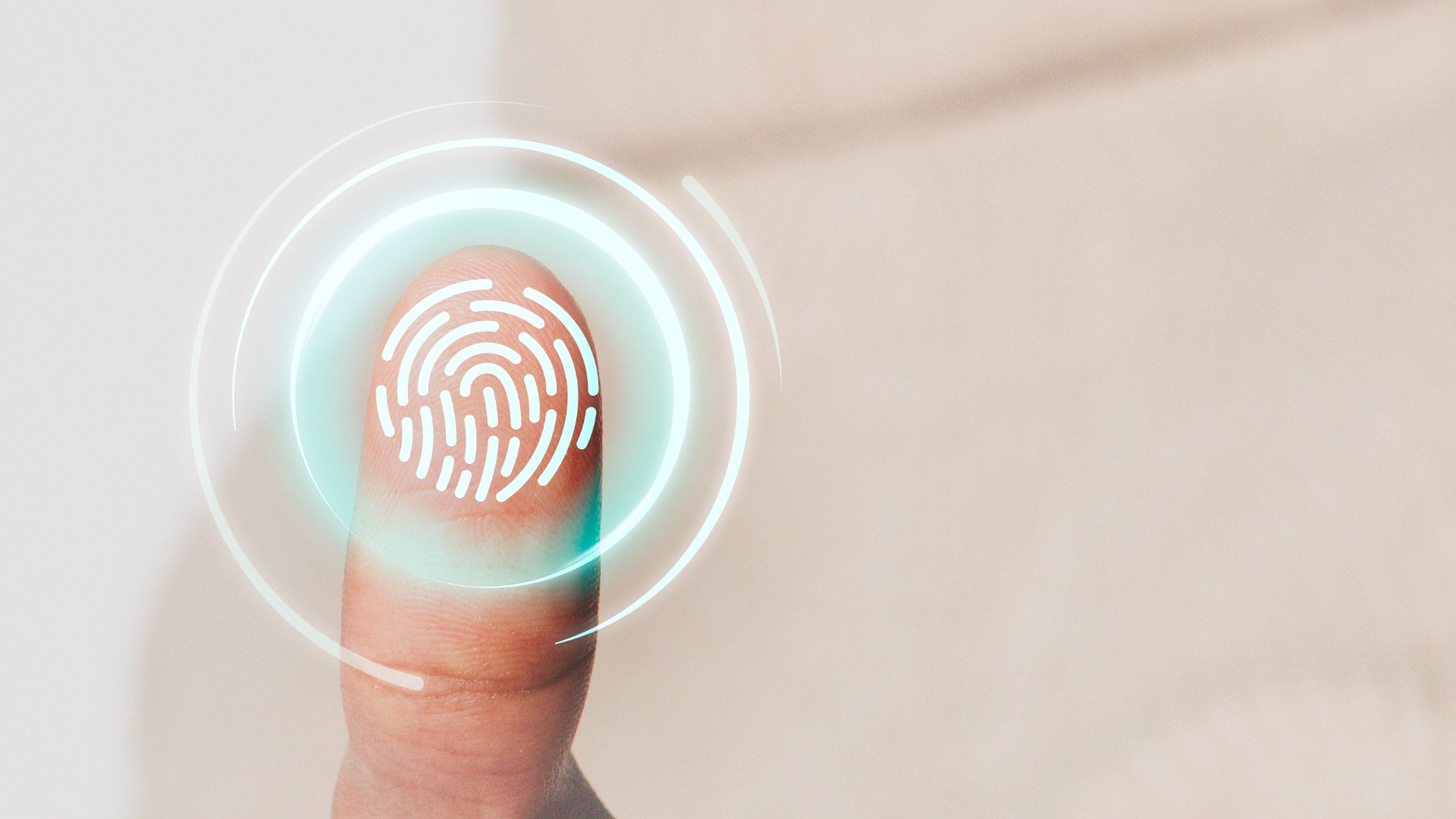 iam, dane osobowe, biometria