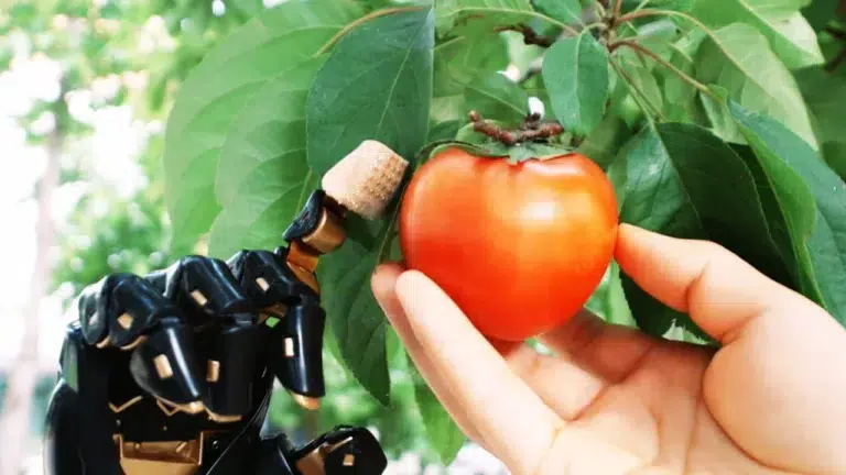 Przełomowa technologia: Sztuczna skóra, która czuje jak człowiek 2 robot, sktóra