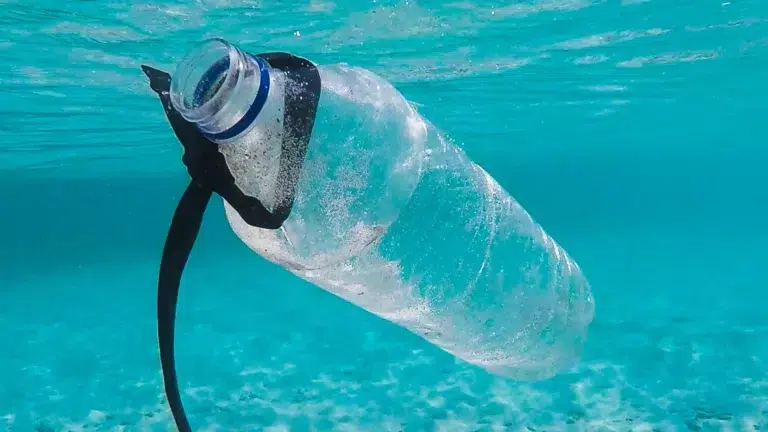 Plastik, środowisko