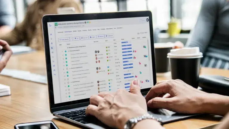 Oprogramowanie do zarzadzania projektami Flexi Project brandsit