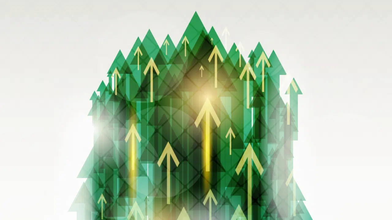 rynek Venture Capital