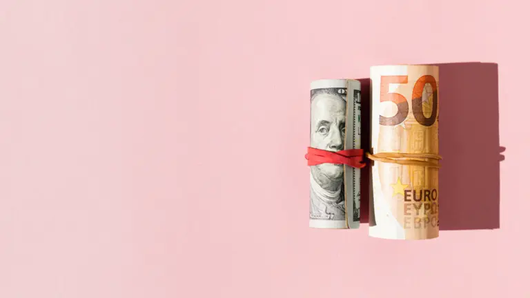 pieniądze, wydatki na IT